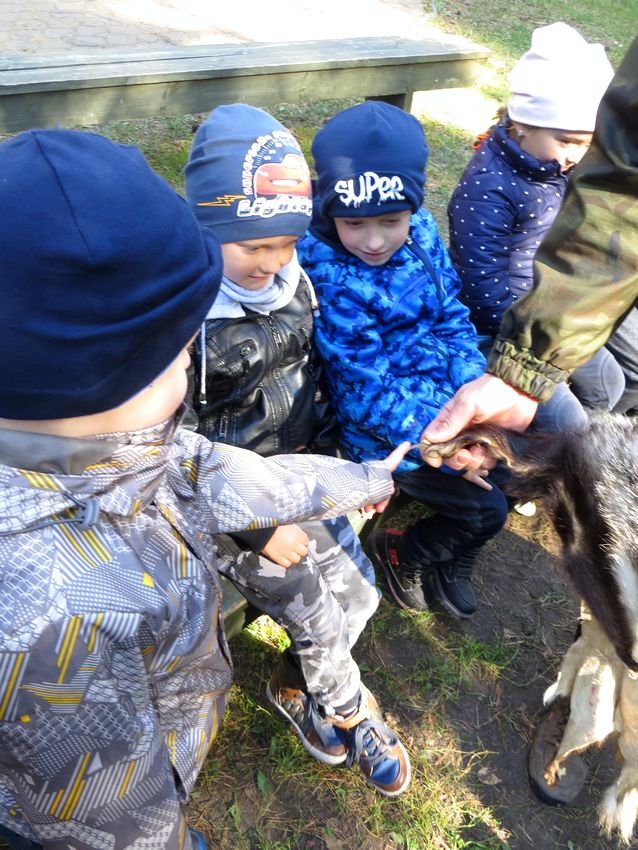 Żabki i Pszczółki z szubińskiego Słoneczka obchodziły Święto Pieczonego Ziemniaka