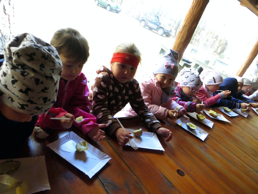 Żabki i Pszczółki z szubińskiego Słoneczka obchodziły Święto Pieczonego Ziemniaka