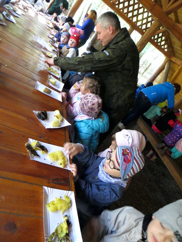 Żabki i Pszczółki z szubińskiego Słoneczka obchodziły Święto Pieczonego Ziemniaka