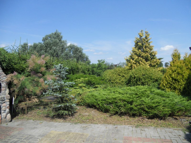 Sprzedam dom wolnostojący w Starym Jarużynie