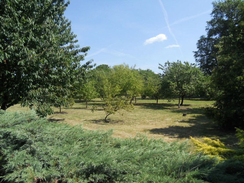 Sprzedam dom wolnostojący w Starym Jarużynie