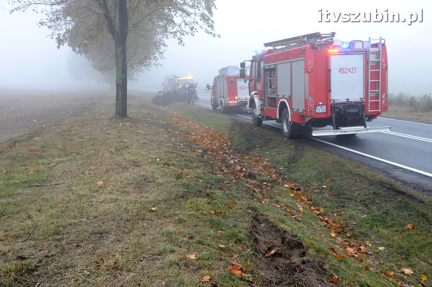 Dachowanie w Dąbrówce Słupskiej