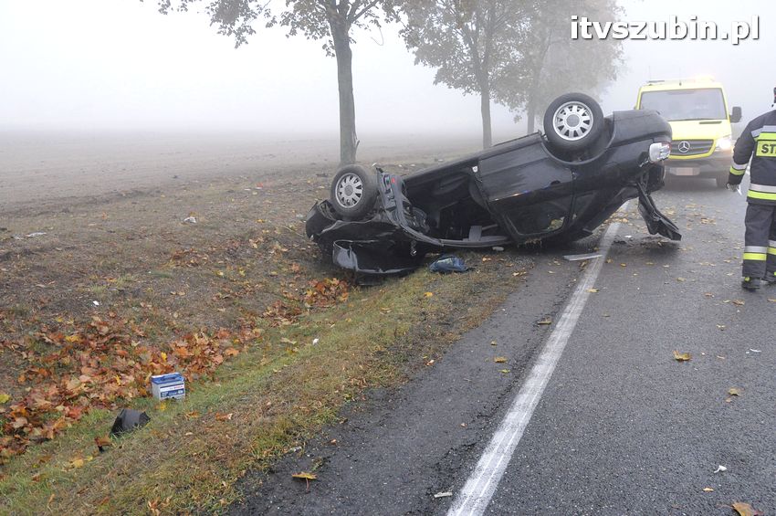 Dachowanie w Dąbrówce Słupskiej