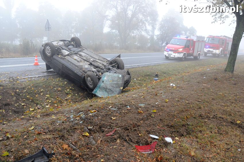 Dachowanie w Dąbrówce Słupskiej