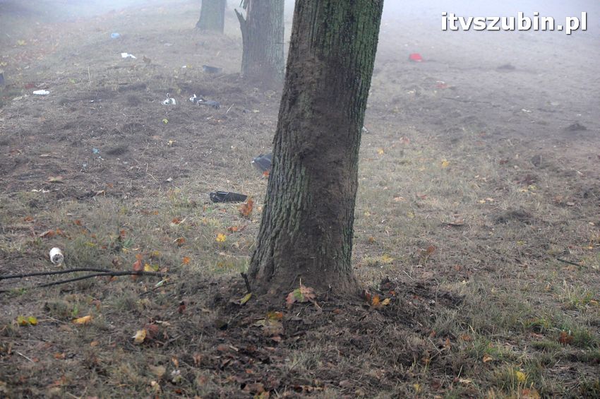 Dachowanie w Dąbrówce Słupskiej