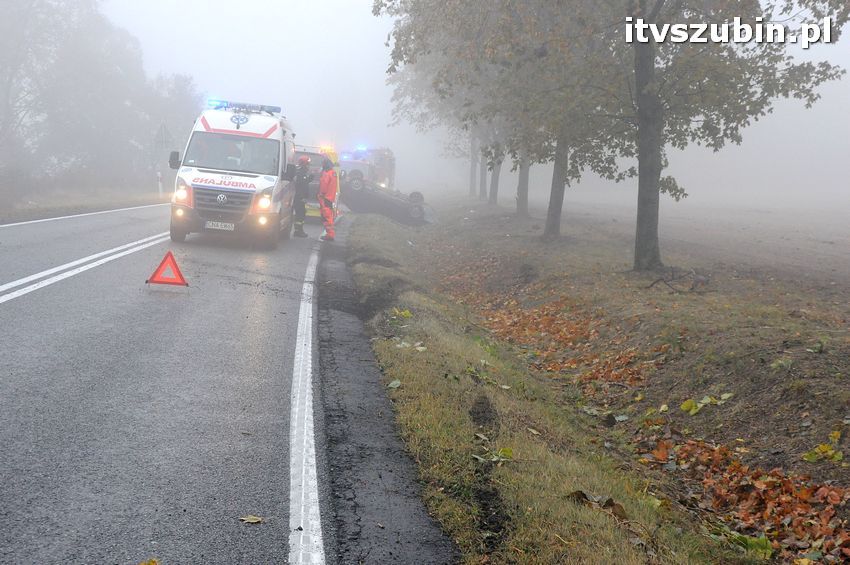 Dachowanie w Dąbrówce Słupskiej