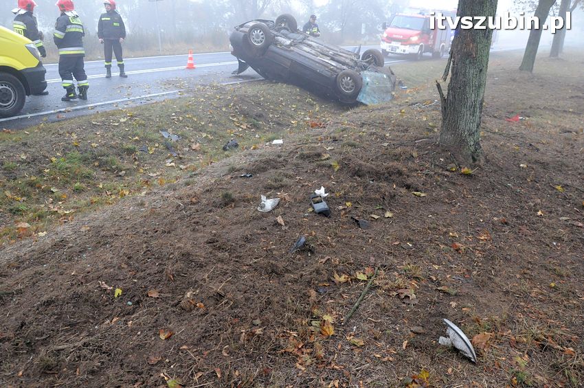 Dachowanie w Dąbrówce Słupskiej