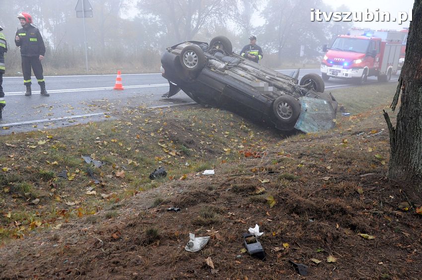 Dachowanie w Dąbrówce Słupskiej