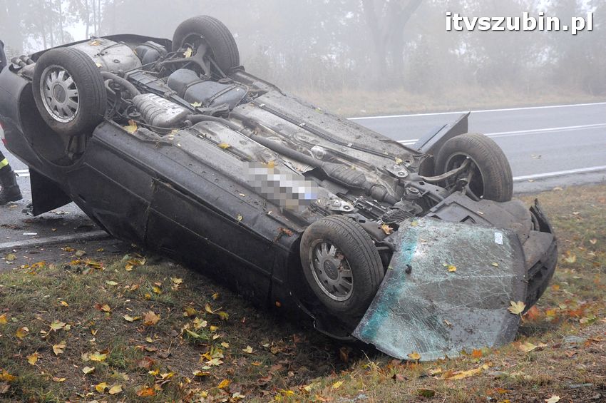 Dachowanie w Dąbrówce Słupskiej