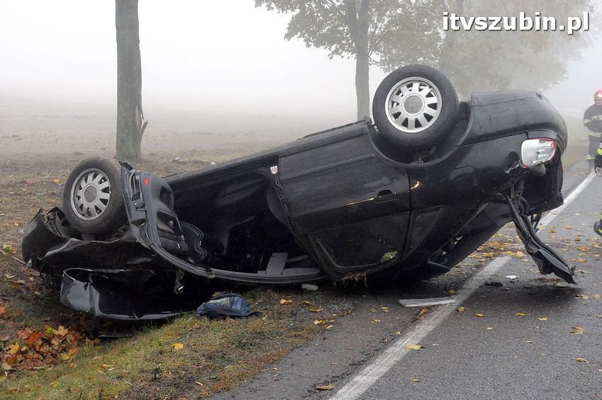 Dachowanie w Dąbrówce Słupskiej