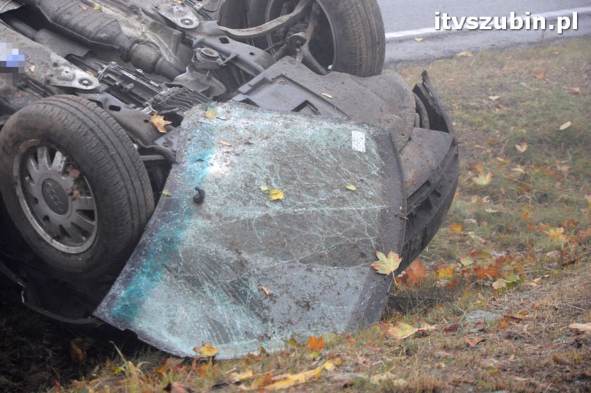 Dachowanie w Dąbrówce Słupskiej