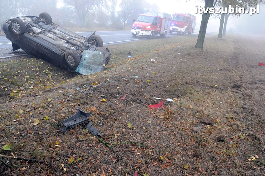 Dachowanie w Dąbrówce Słupskiej