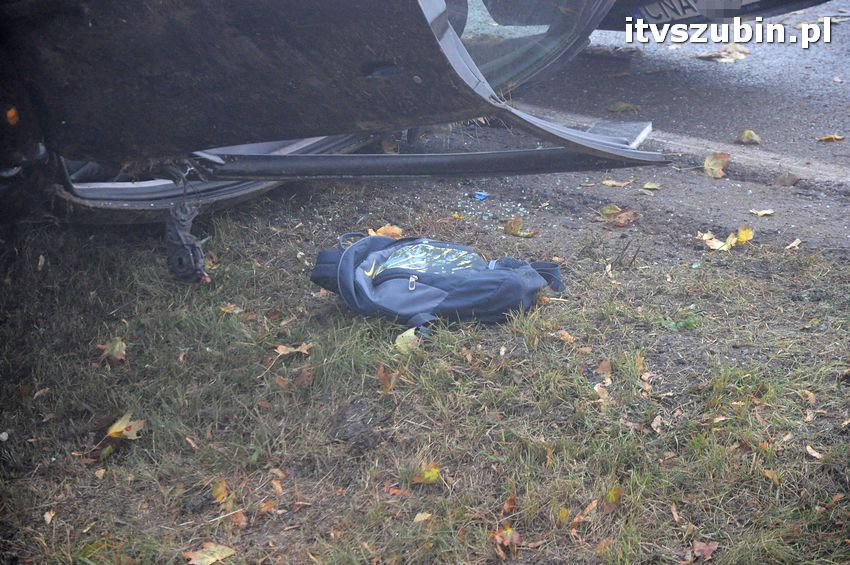 Dachowanie w Dąbrówce Słupskiej