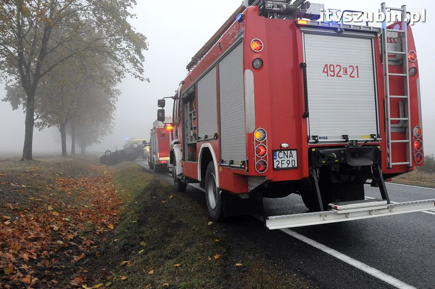 Dachowanie w Dąbrówce Słupskiej
