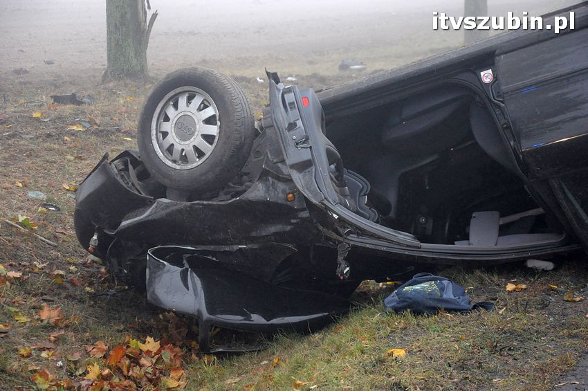 Dachowanie w Dąbrówce Słupskiej