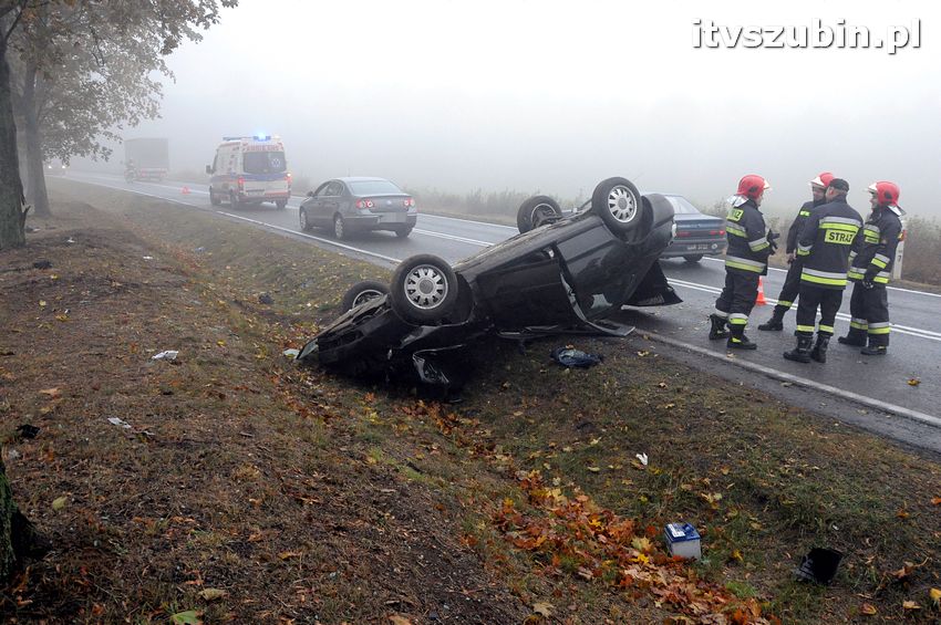 Dachowanie w Dąbrówce Słupskiej