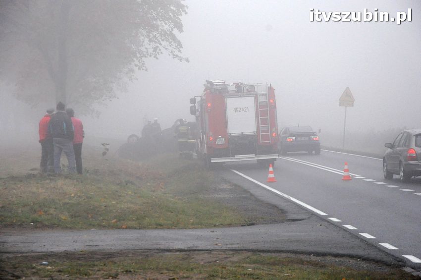 Dachowanie w Dąbrówce Słupskiej