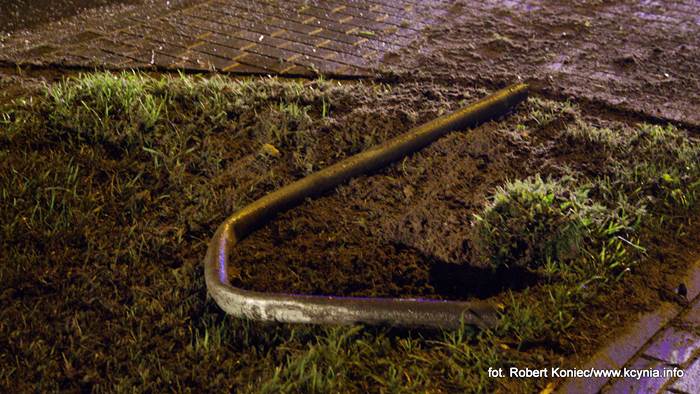 Ścinał wszystko na swojej drodze