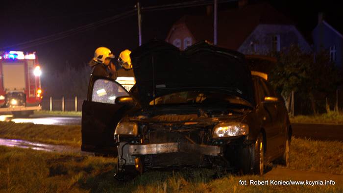 Ścinał wszystko na swojej drodze