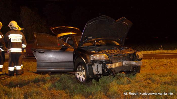 Ścinał wszystko na swojej drodze