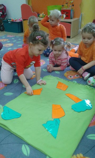 Pomarańczowy zawrót głowy w szubińskim 