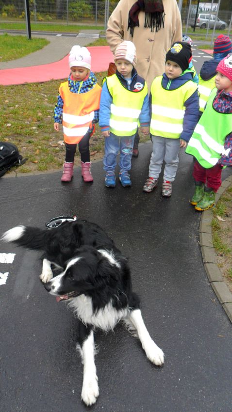 ?Smerfy? i ?Pszczółki? w Miasteczku Ruchu Drogowego w Myślęcinku