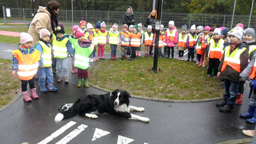 ?Smerfy? i ?Pszczółki? w Miasteczku Ruchu Drogowego w Myślęcinku