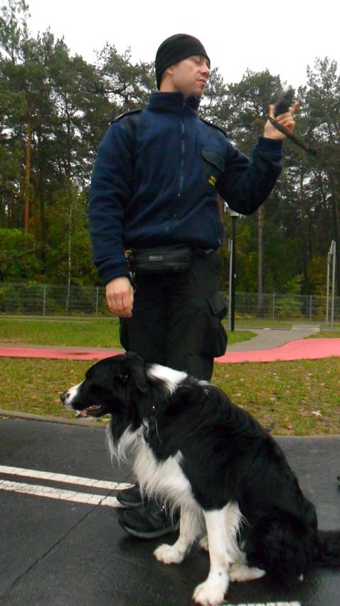 ?Smerfy? i ?Pszczółki? w Miasteczku Ruchu Drogowego w Myślęcinku