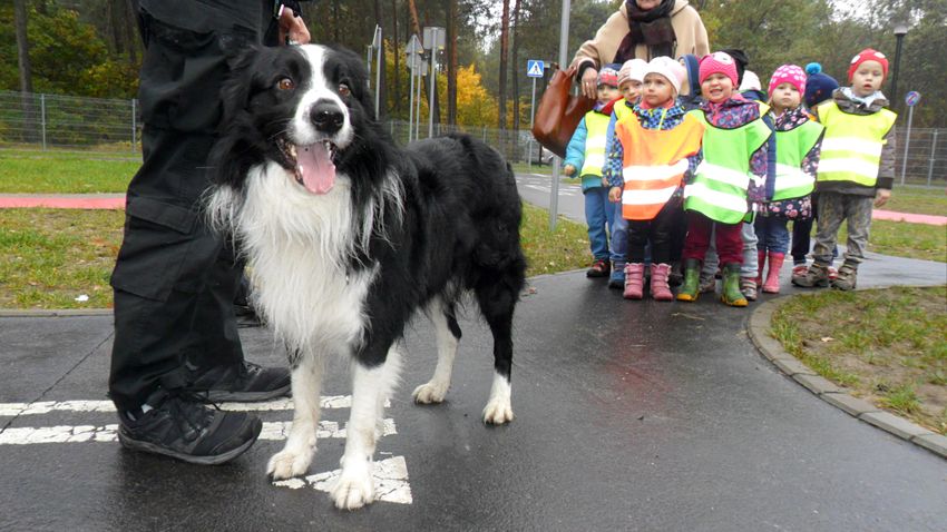 ?Smerfy? i ?Pszczółki? w Miasteczku Ruchu Drogowego w Myślęcinku