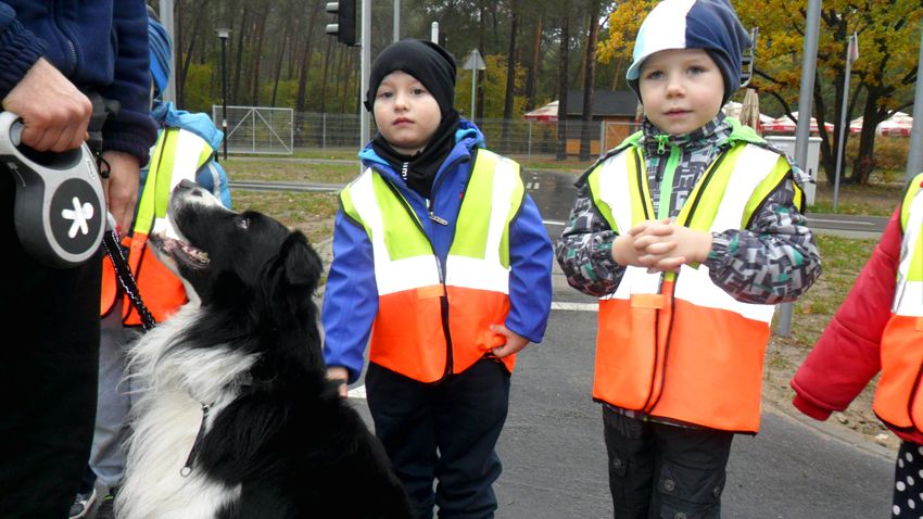 ?Smerfy? i ?Pszczółki? w Miasteczku Ruchu Drogowego w Myślęcinku