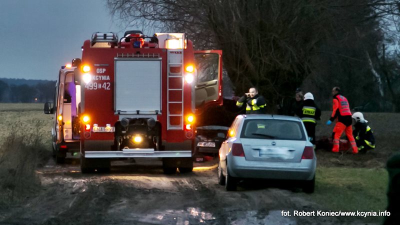 Na polnej drodze uderzył w drzewo