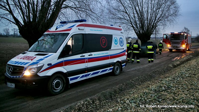 Na polnej drodze uderzył w drzewo
