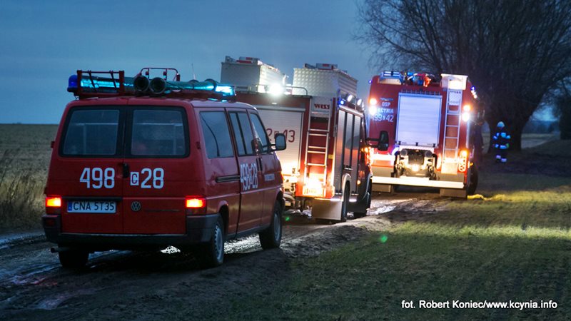 Na polnej drodze uderzył w drzewo