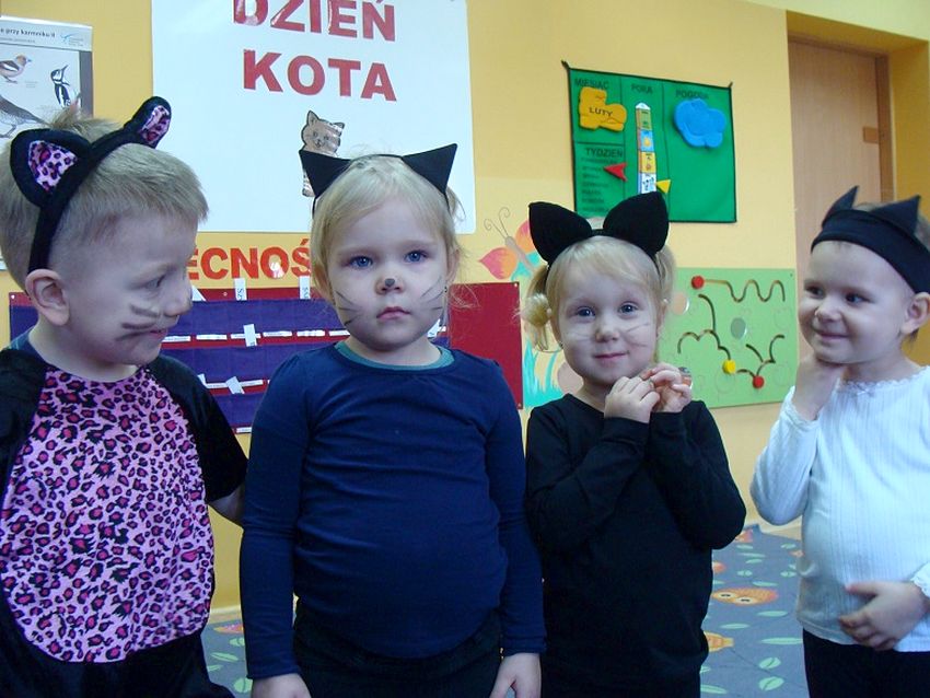 Światowy Dzień Kota w Niepubliczny przedszkolu ?Słoneczko?