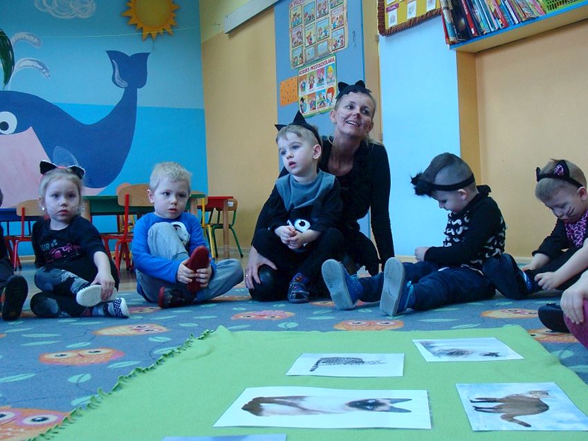 Światowy Dzień Kota w Niepubliczny przedszkolu ?Słoneczko?