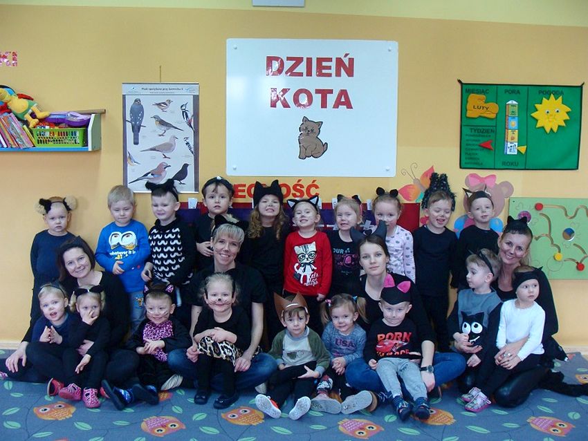 Światowy Dzień Kota w Niepubliczny przedszkolu ?Słoneczko?