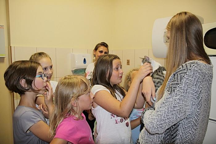 Letnia noc w bibliotece