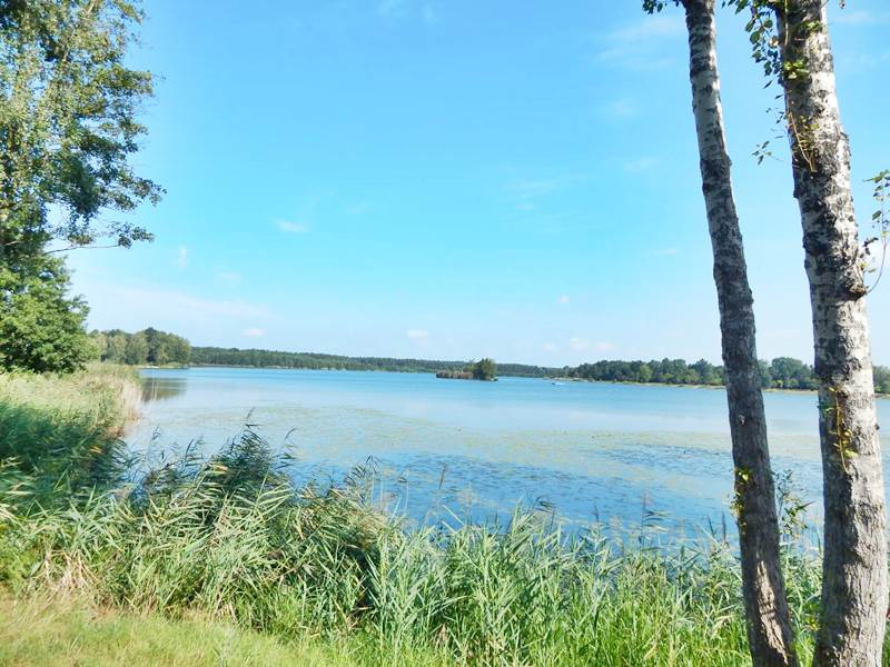 Intensywne kontakty partnerskie