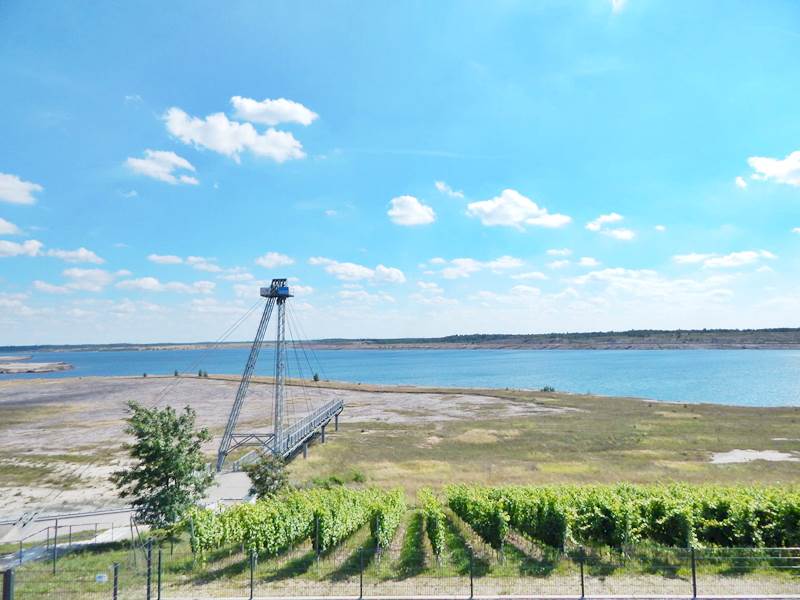 Intensywne kontakty partnerskie