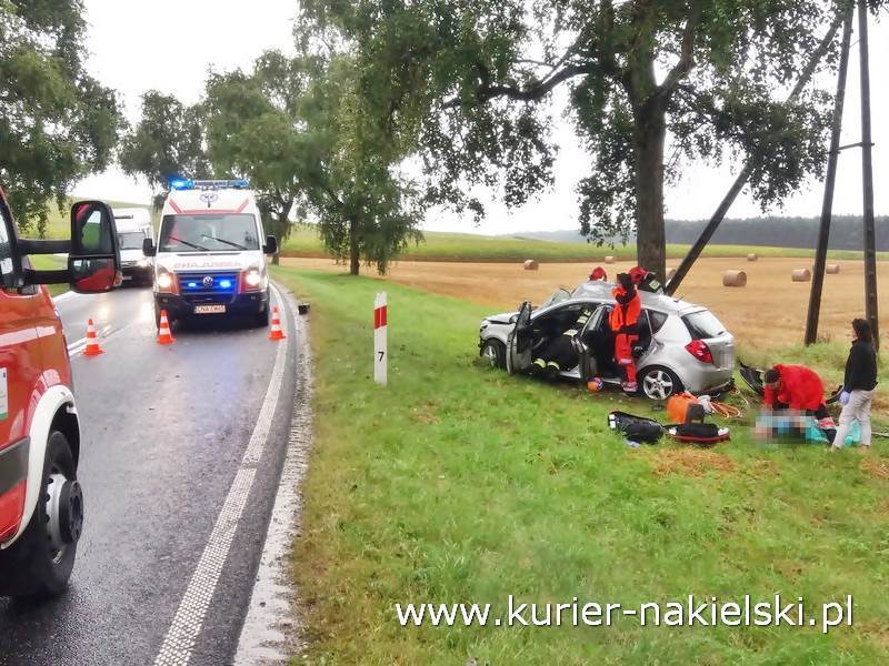 Śmiertelny wypadek pod Wieszkami [Ustalenia Policji]