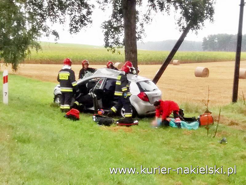 Śmiertelny wypadek pod Wieszkami [Ustalenia Policji]