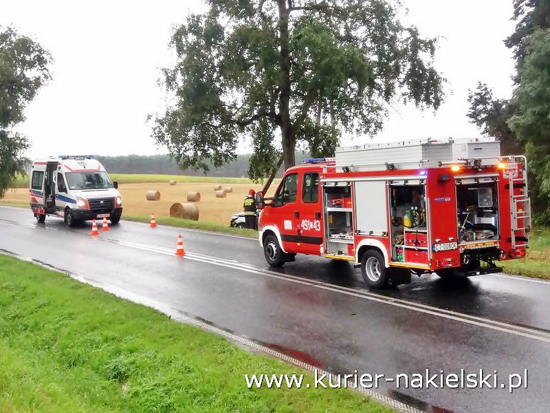 Śmiertelny wypadek pod Wieszkami [Ustalenia Policji]