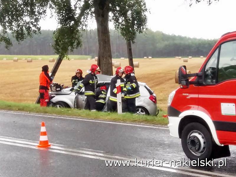 Śmiertelny wypadek pod Wieszkami [Ustalenia Policji]