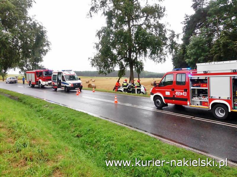 Śmiertelny wypadek pod Wieszkami [Ustalenia Policji]