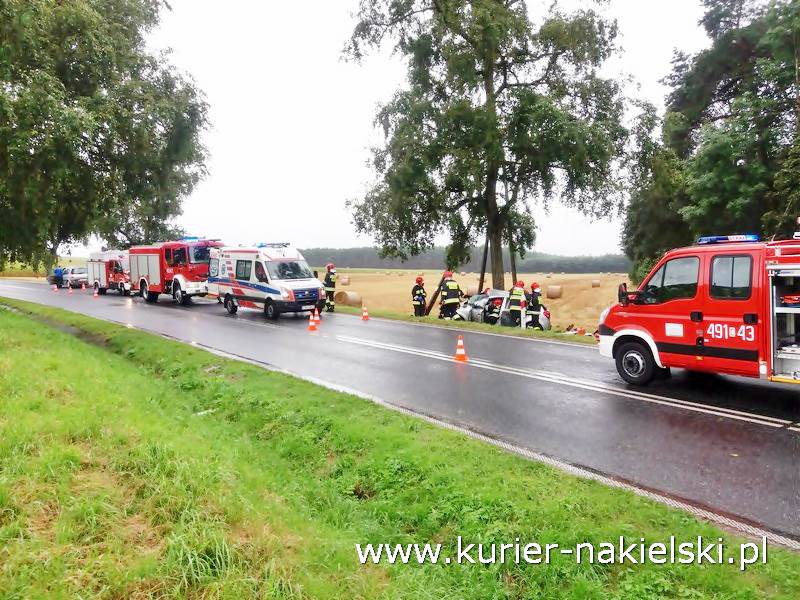 Śmiertelny wypadek pod Wieszkami [Ustalenia Policji]