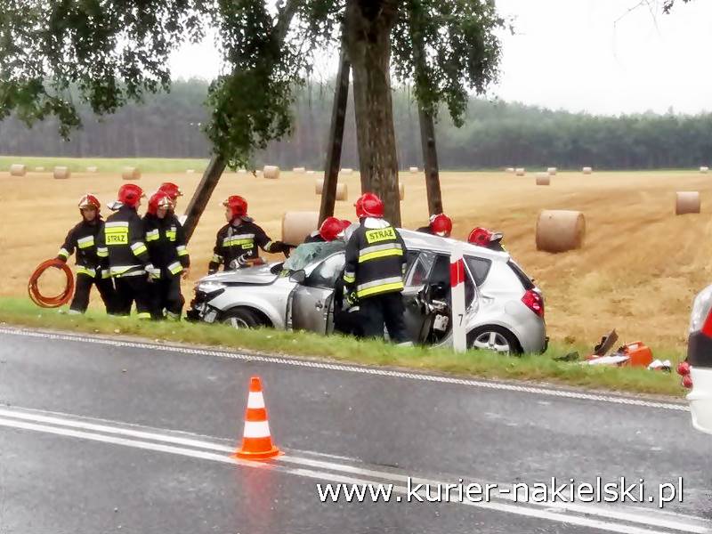 Śmiertelny wypadek pod Wieszkami [Ustalenia Policji]