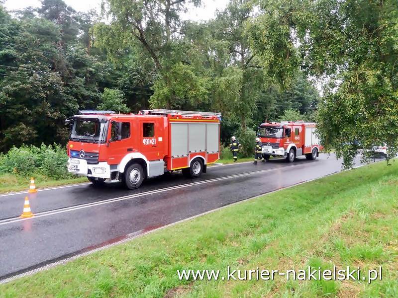 Śmiertelny wypadek pod Wieszkami [Ustalenia Policji]