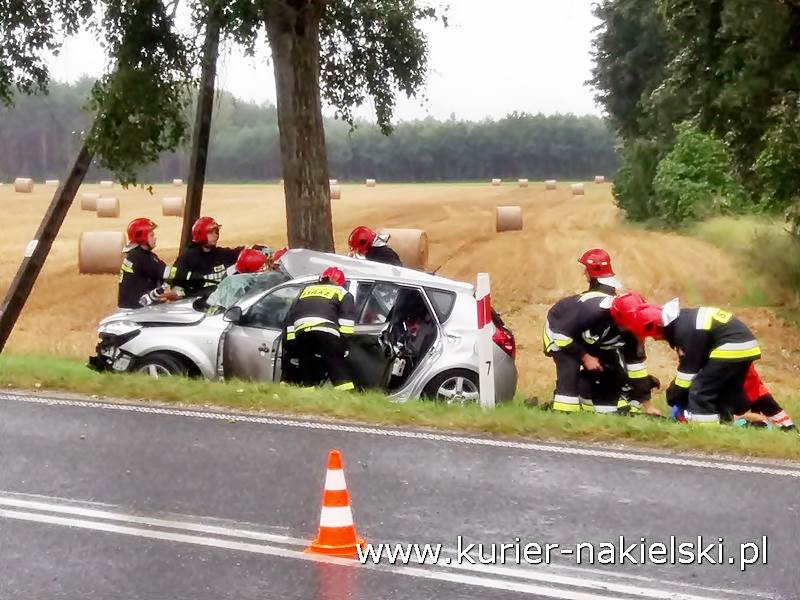 Śmiertelny wypadek pod Wieszkami [Ustalenia Policji]