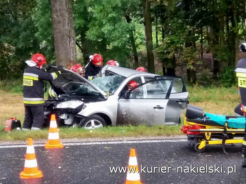 Śmiertelny wypadek pod Wieszkami [Ustalenia Policji]