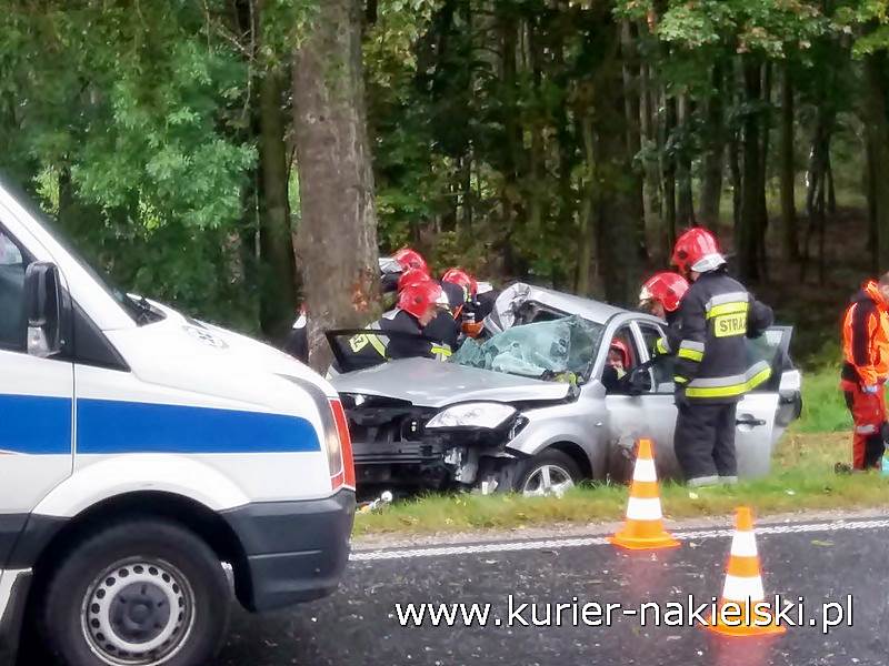 Śmiertelny wypadek pod Wieszkami [Ustalenia Policji]